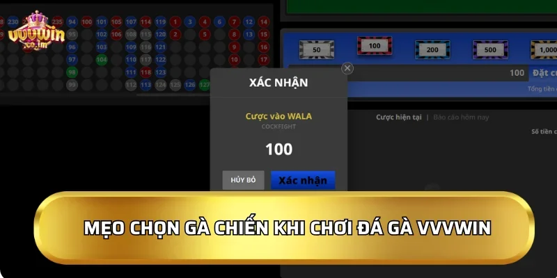 Mẹo chọn gà chiến khi chơi đá gà VVVWin