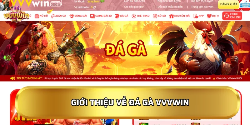 Giới thiệu về Đá gà VVVWin